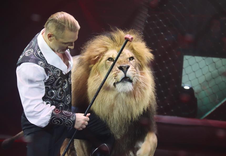 Без наркоза: дочь Аскольда Запашного перенесла экстренную операцию на сердце