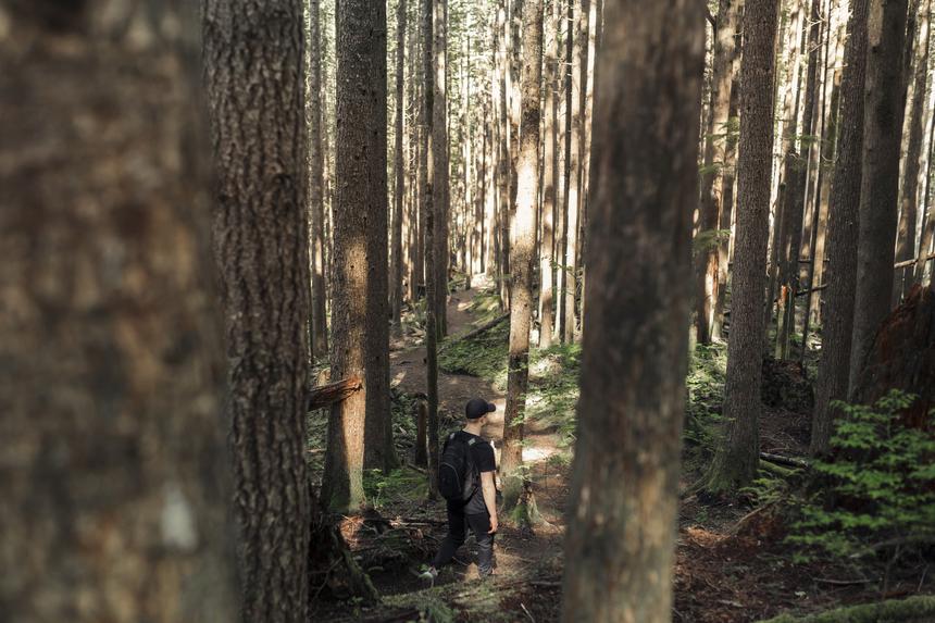 В машине пропавших под Красноярском Усольцевых нашли тайник с 600 тыс. рублей