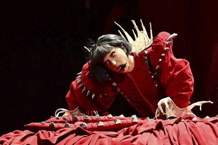 «Россия тебя любит»: перед концертом Леди Гаги в Лионе на экране появилось обращение на русском