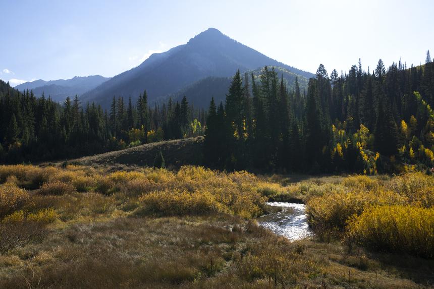 Два известных рок-музыканта потерялись в лесах Норвегии, куда отправились на фотосессию