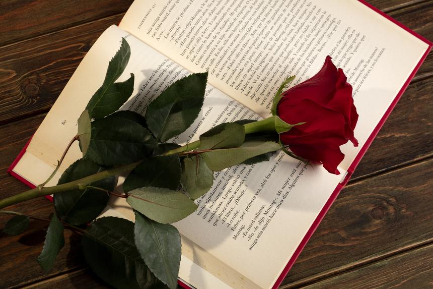 На 80-м году жизни умерла британская писательница, автор «Краткой истории тракторов по-украински» Марина Левицка