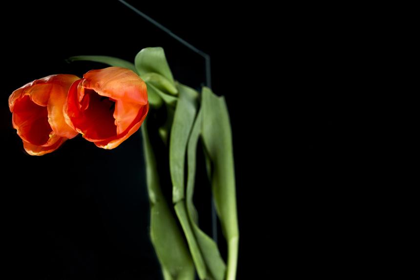 Умер в возрасте 58 лет сооснователь украинской группы DZIDZIO Олег Турко