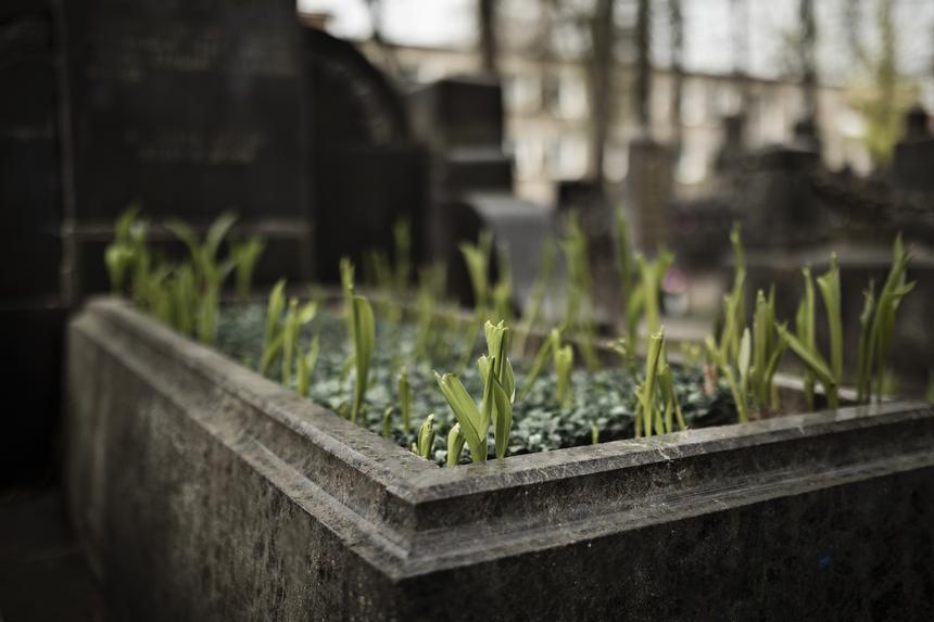 В Серове мать бойца СВО больше года требует вскрыть гроб, не веря, что там сын