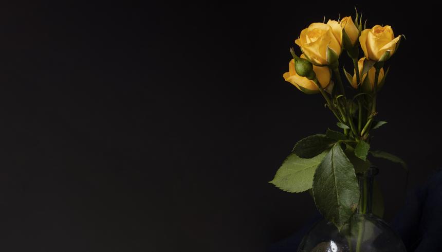 Музыкант «Геликон-оперы» Николай Жеренков попал в больницу накануне смерти