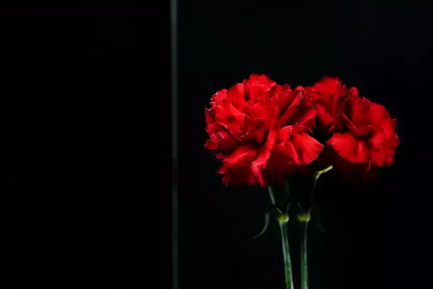 Служила с 1953 года: народная артистка России и актриса Малого театра Лилия Юдина умерла в 96 лет